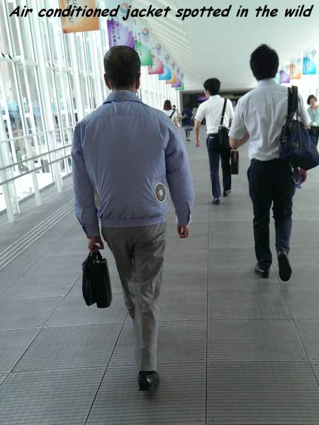 daily picdump weekend edition 75 pics 36.html - 75 HD Photos | Premium Gallery 2016