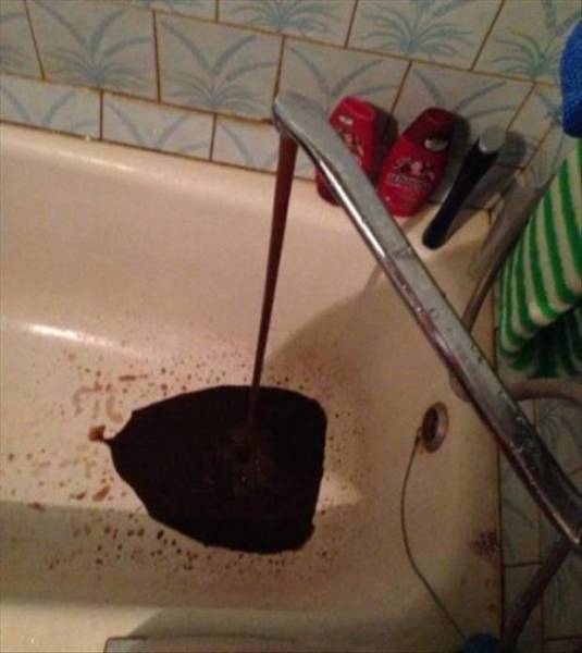 daily picdump 78 pics 7.html - 78 HD Photos | Premium Gallery 2016