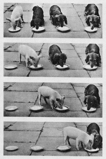 daily picdump 78 pics 7.html - 78 HD Photos | Premium Gallery 2016