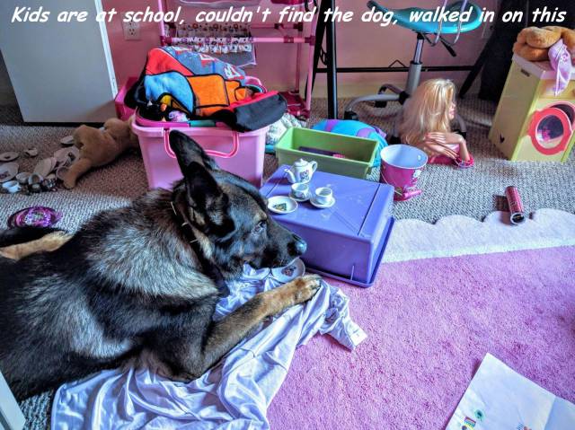 daily picdump 81 pics 4.html - 81 HD Photos | Premium Gallery 2016