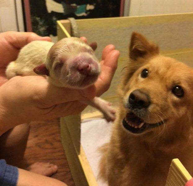 morning picdump 56 pics 4.html - 56 HD Photos | Premium Gallery 2016