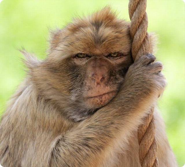 morning picdump 56 pics 4.html - 56 HD Photos | Premium Gallery 2016