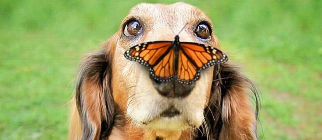 morning picdump 56 pics 4.html - 56 HD Photos | Premium Gallery 2016