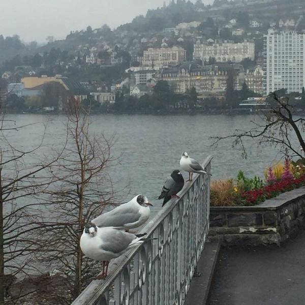 morning picdump 56 pics 4.html - 56 HD Photos | Premium Gallery 2016