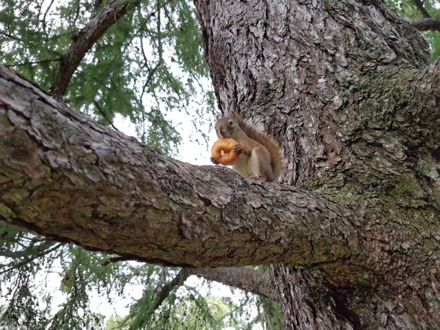 morning picdump 56 pics 4.html - 56 HD Photos | Premium Gallery 2016