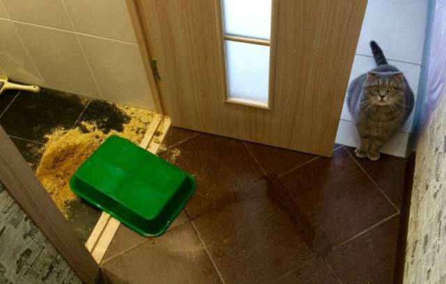 morning picdump 56 pics 4.html - 56 HD Photos | Premium Gallery 2016