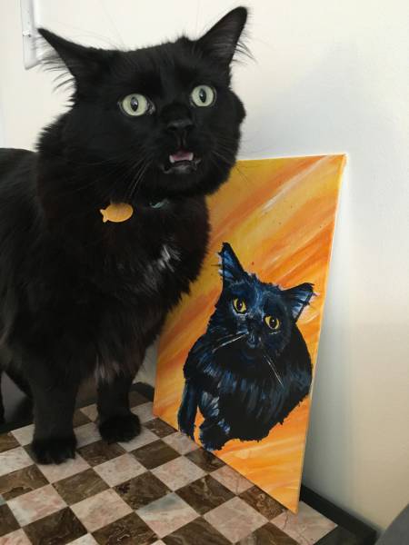 morning picdump 56 pics 4.html - 56 HD Photos | Premium Gallery 2016