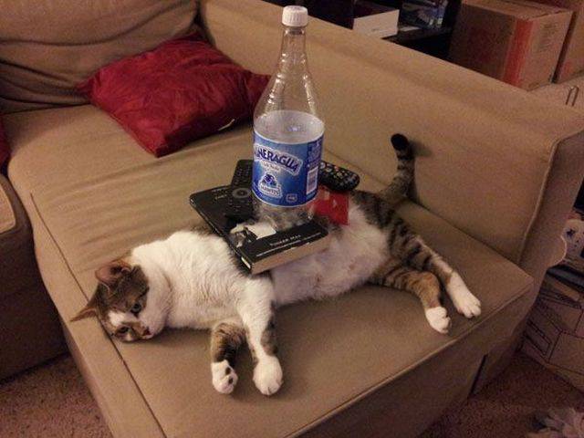 daily picdump 81 pics 40.html - 81 HD Photos | Premium Gallery 2016