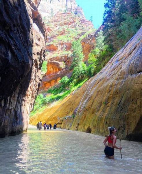 daily picdump 81 pics 40.html - 81 HD Photos | Premium Gallery 2016