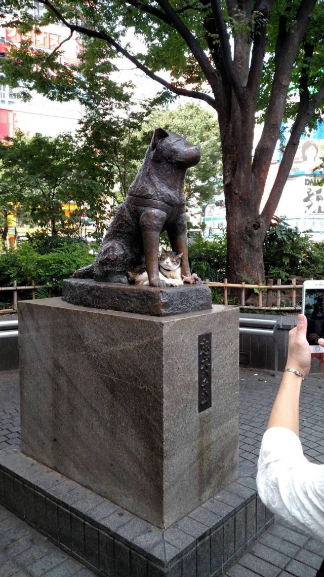 daily picdump 81 pics 40.html - 81 HD Photos | Premium Gallery 2016