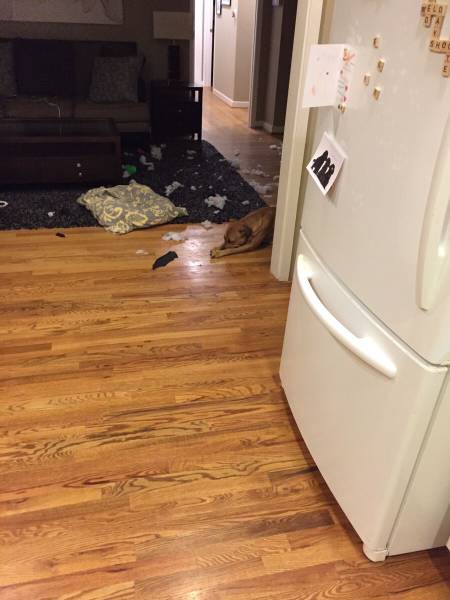 morning picdump 54 pics 8.html - 54 HD Photos | Premium Gallery 2016