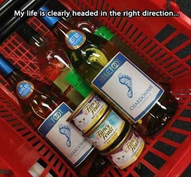 morning picdump 54 pics 8.html - 54 HD Photos | Premium Gallery 2016