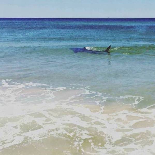 daily picdump 90 pics 5.html - 90 HD Photos | Premium Gallery 2016