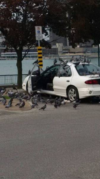 daily picdump 90 pics 5.html - 90 HD Photos | Premium Gallery 2016