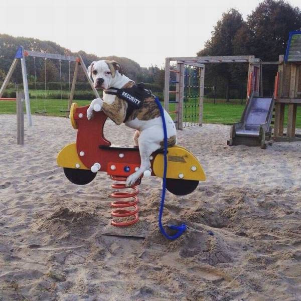 daily picdump 90 pics 5.html - 90 HD Photos | Premium Gallery 2016