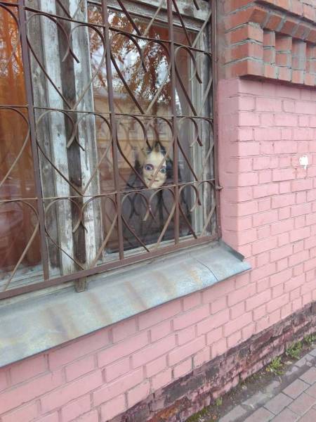 daily picdump 90 pics 5.html - 90 HD Photos | Premium Gallery 2016