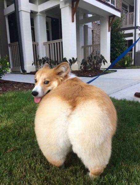 daily picdump 90 pics 5.html - 90 HD Photos | Premium Gallery 2016