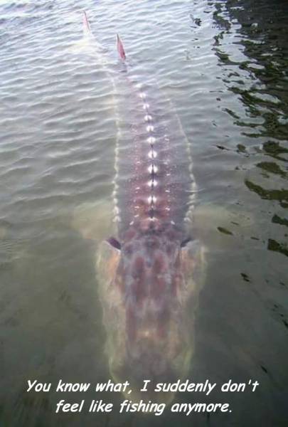 daily picdump 90 pics 5.html - 90 HD Photos | Premium Gallery 2016