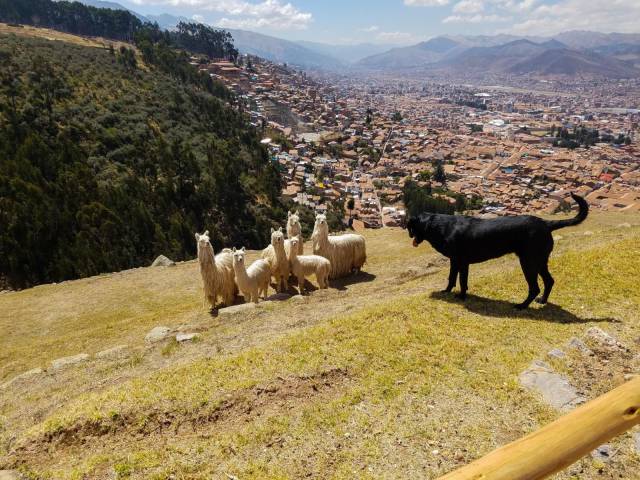 daily picdump 90 pics 5.html - 90 HD Photos | Premium Gallery 2016