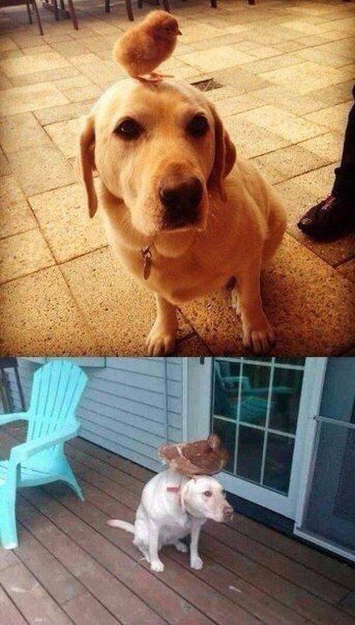 daily picdump 90 pics 5.html - 90 HD Photos | Premium Gallery 2016