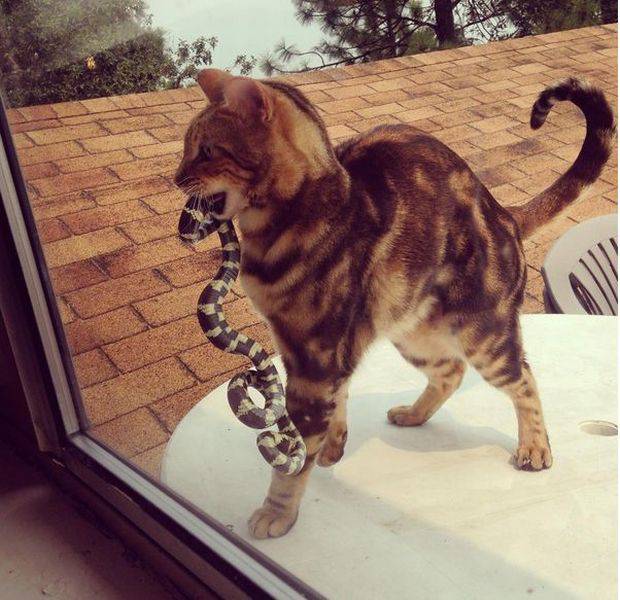 morning picdump 55 pics 22.html - 55 HD Photos | Premium Gallery 2016