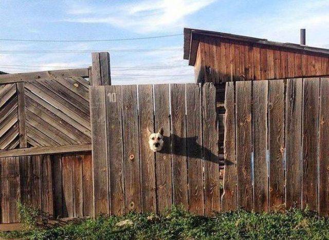 morning picdump 55 pics 22.html - 55 HD Photos | Premium Gallery 2016