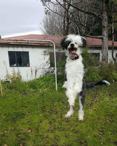 morning picdump 55 pics 22.html - 55 HD Photos | Premium Gallery 2016