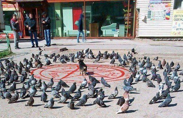 morning picdump 55 pics 22.html - 55 HD Photos | Premium Gallery 2016