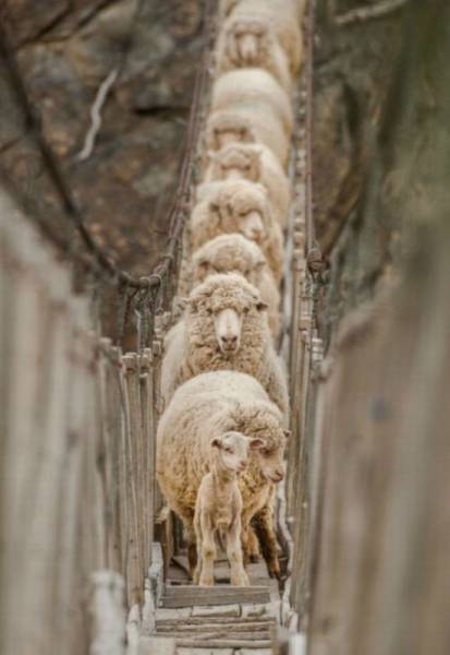 morning picdump 55 pics 22.html - 55 HD Photos | Premium Gallery 2016