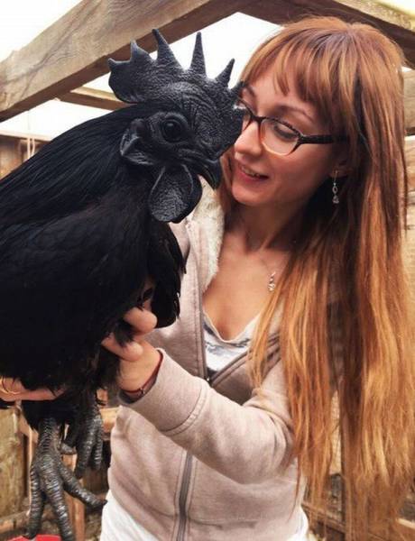 morning picdump 55 pics 22.html - 55 HD Photos | Premium Gallery 2016