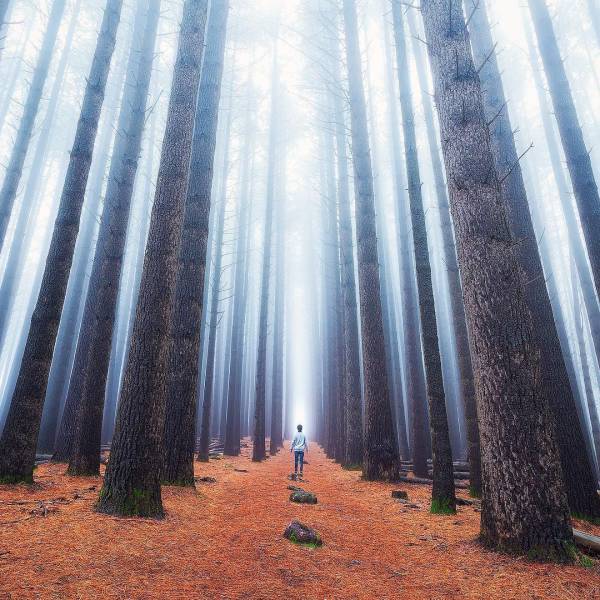 daily picdump 86 pics 12.html - 86 HD Photos | Premium Gallery 2016