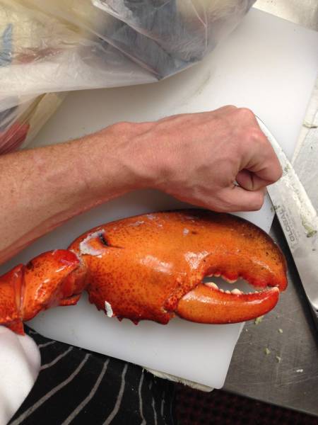 daily picdump 86 pics 12.html - 86 HD Photos | Premium Gallery 2016