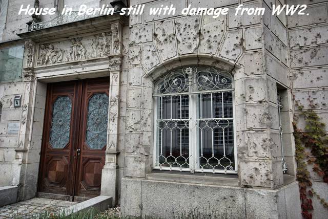 daily picdump 86 pics 12.html - 86 HD Photos | Premium Gallery 2016