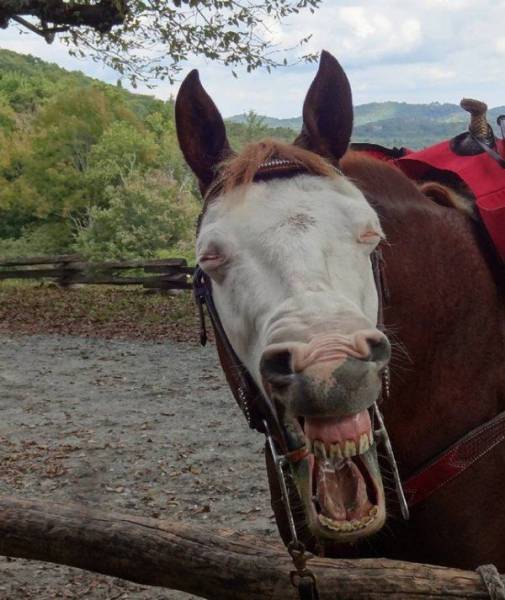 daily picdump 86 pics 12.html - 86 HD Photos | Premium Gallery 2016