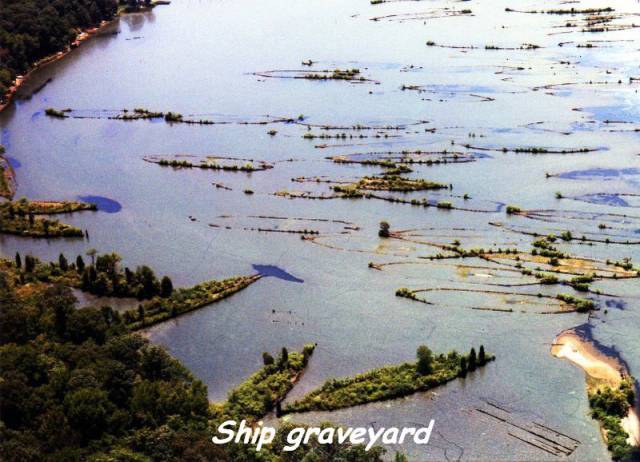 daily picdump 86 pics 12.html - 86 HD Photos | Premium Gallery 2016