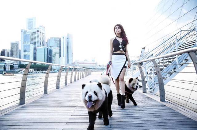 morning picdump 57 pics 7.html - 57 HD Photos | Premium Gallery 2016