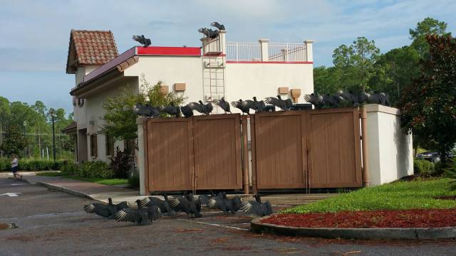 morning picdump 57 pics 7.html - 57 HD Photos | Premium Gallery 2016