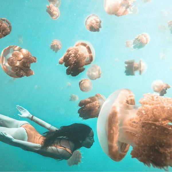 morning picdump 57 pics 7.html - 57 HD Photos | Premium Gallery 2016