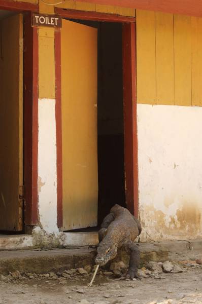 Daily Picdump [WEEKEND EDITION]