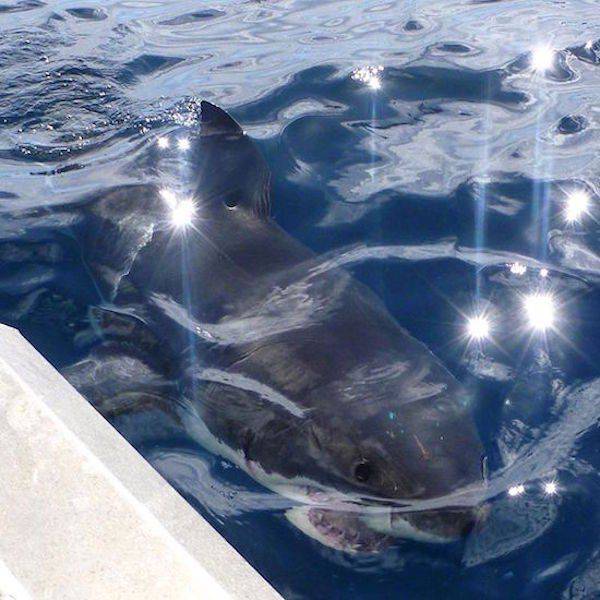 daily picdump weekend edition 65 pics 21.html - 65 HD Photos | Premium Gallery 2016