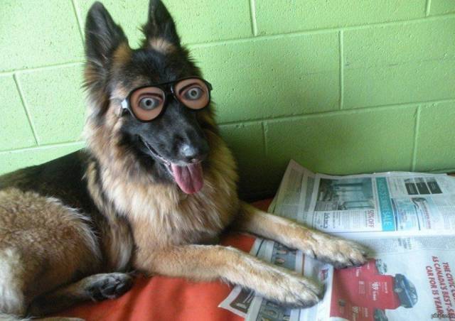 daily picdump weekend edition 65 pics 21.html - 65 HD Photos | Premium Gallery 2016