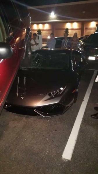 daily picdump weekend edition 65 pics 21.html - 65 HD Photos | Premium Gallery 2016