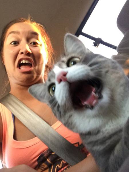 daily picdump weekend edition 65 pics 21.html - 65 HD Photos | Premium Gallery 2016