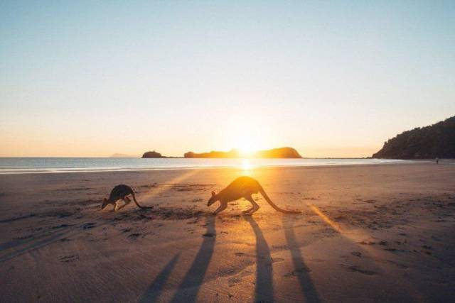 daily picdump weekend edition 65 pics 21.html - 65 HD Photos | Premium Gallery 2016