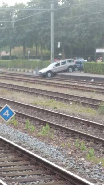 daily picdump weekend edition 65 pics 21.html - 65 HD Photos | Premium Gallery 2016