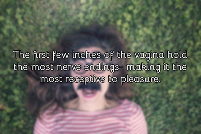 A Few Facts About Vagina You Need To Know