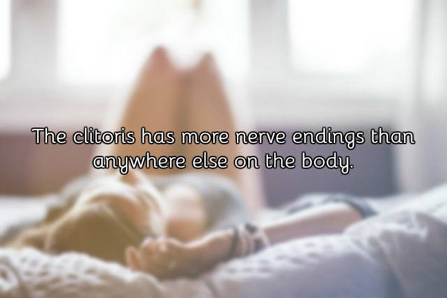A Few Facts About Vagina You Need To Know