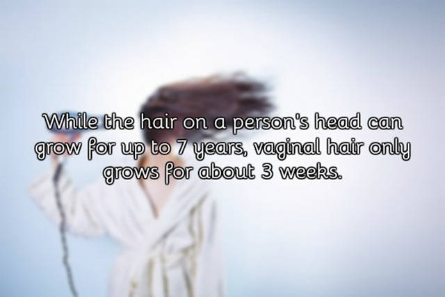 A Few Facts About Vagina You Need To Know