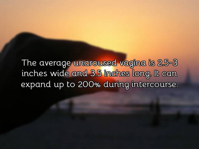 A Few Facts About Vagina You Need To Know