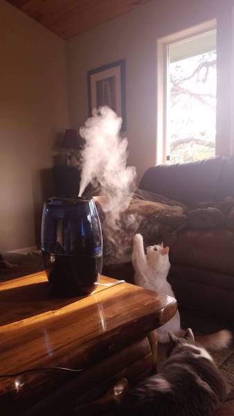 daily picdump 91 pics 41.html - 91 HD Photos | Premium Gallery 2016